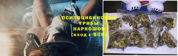 2c-b Балахна