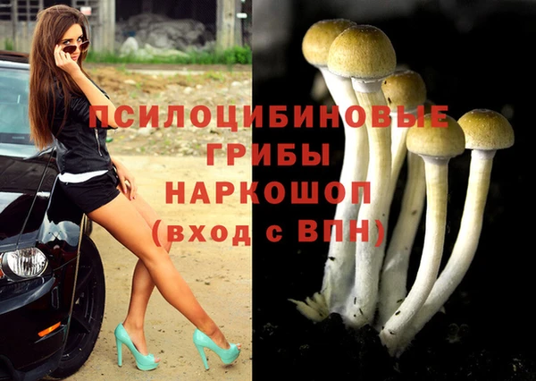 ПСИЛОЦИБИНОВЫЕ ГРИБЫ Балабаново