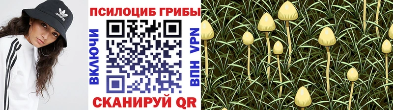 Галлюциногенные грибы Magic Shrooms  Новомосковск 
